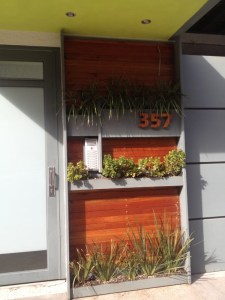 IMG_3403 - Copy (600x800)