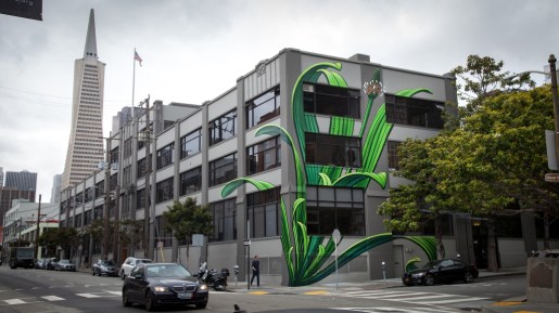 PlantagoLanceolata-byMonaCaron_3144